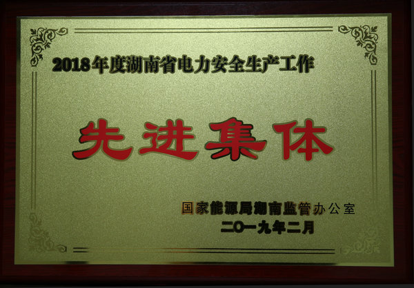 2018年度湖南省電力安全生產(chǎn)工作先進(jìn)集體
