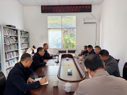 徐磊調研公司鄉村振興幫扶工作