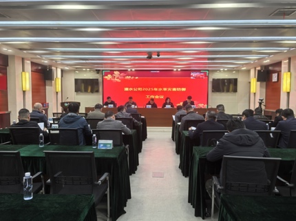 公司召開2025年水旱災(zāi)害防御工作會議