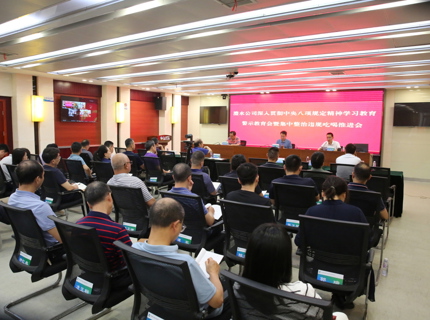 公司召開警示教育暨集中整治違規(guī)吃喝工作推進會