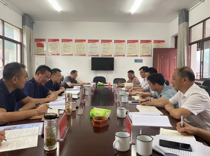 徐磊調(diào)研石門大興場村共繪鄉(xiāng)村振興新藍圖