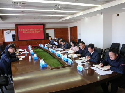 澧水公司黨組傳達學習貫徹2026年全國水利工作會議精神