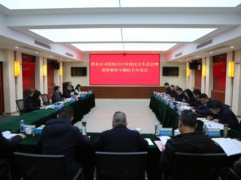 任紅梅指導澧水公司黨組2025年度民主生活會暨巡察整改專題民主生活會